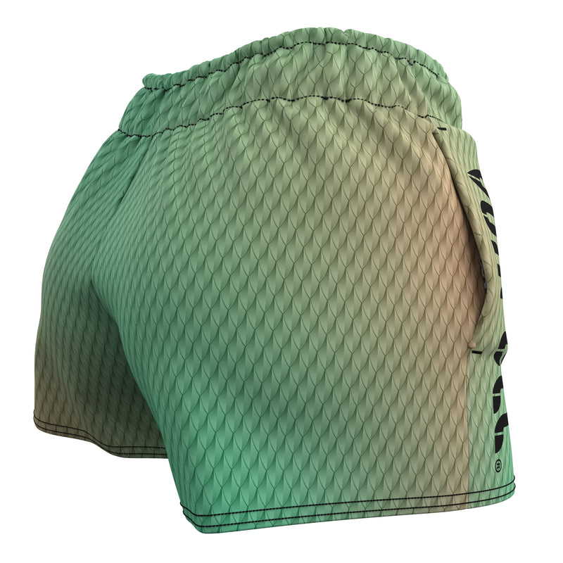 Load image into Gallery viewer, Voxpell Flying Dragon Skin (shorts esportivos femininos - poliéster reciclado) Martial Warrior
