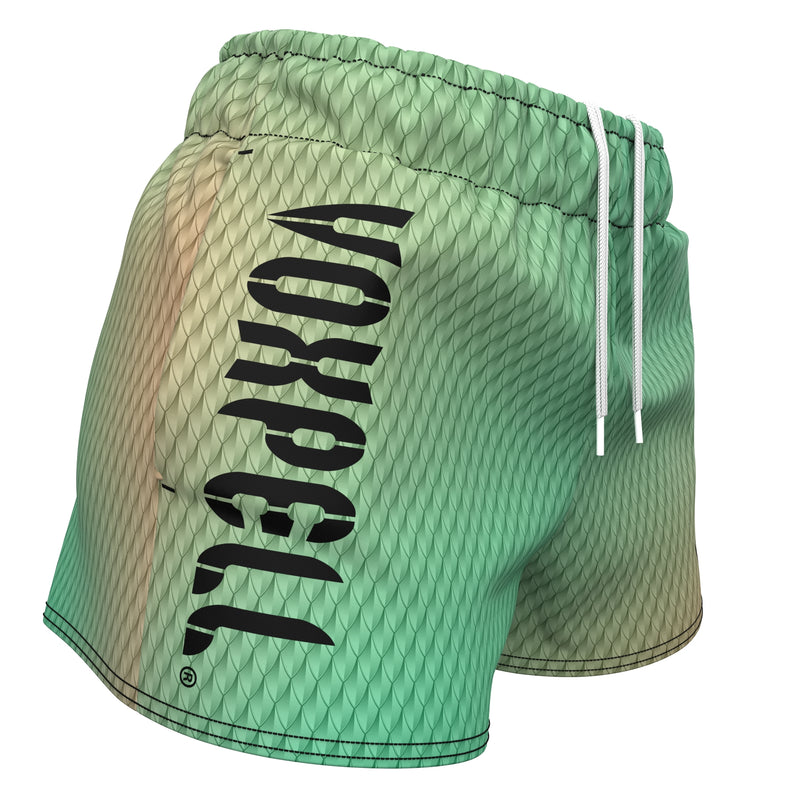 Load image into Gallery viewer, Voxpell Flying Dragon Skin (shorts esportivos femininos - poliéster reciclado) Martial Warrior
